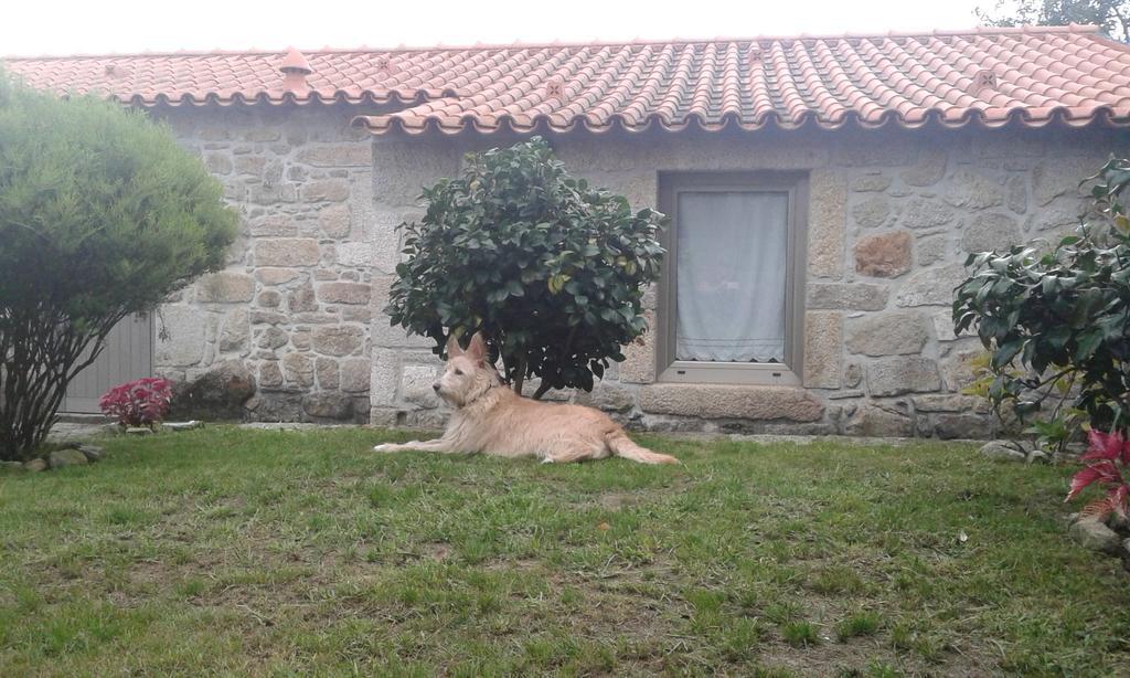 Casa Maria Da Assuncao Villa Vila Nova de Cerveira Phòng bức ảnh